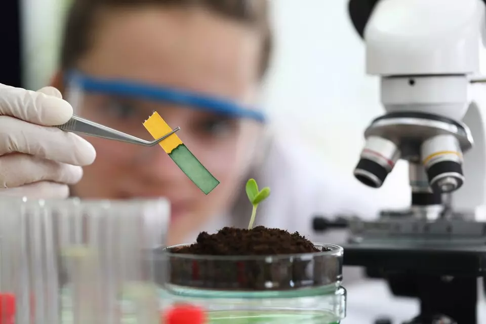 Ciências Biológicas